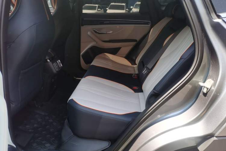 Used BYD Song PLUS New Energy 2021 DM-i 110KM Flagship PLUS Left Rear Seat