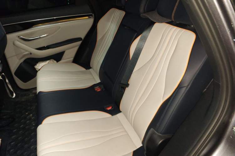 Used BYD Song PLUS New Energy 2021 EV Flagship Model Left Rear Seat