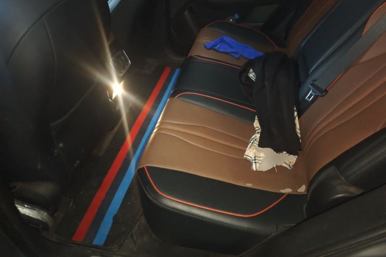 Used BYD Song PLUS New Energy 2021 DM-i 100KM Four-Wheel Drive Flagship PLUS Left Rear Seat