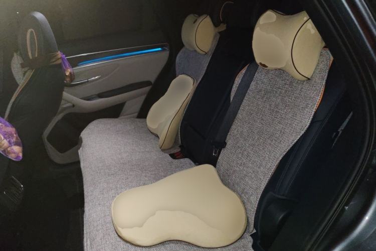Used BYD Song PLUS New Energy 2021 DM-i 51KM Prestige Model Left Rear Seat