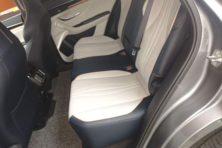 Used BYD Song PLUS New Energy 2021 DM-i 110KM Flagship PLUS Left Rear Seat