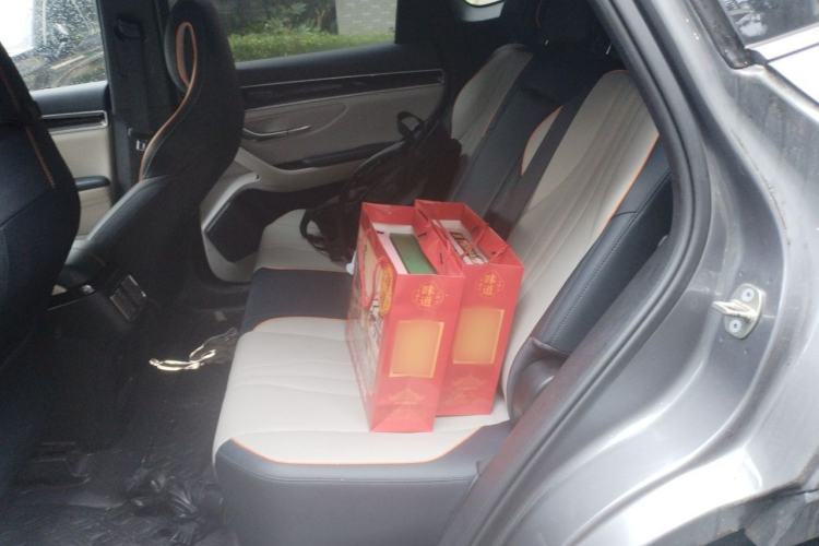 Used BYD Song PLUS New Energy 2021 DM-i 110KM Flagship PLUS Left Rear Seat