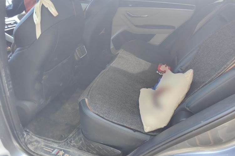 Used BYD Song PLUS New Energy 2021 DM-i 110KM Flagship PLUS Left Rear Seat