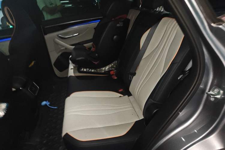 Used BYD Song PLUS New Energy 2021 DM-i 110KM Flagship PLUS Left Rear Seat