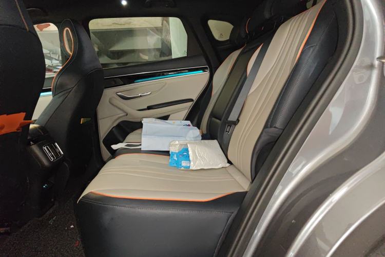 Used BYD Song PLUS New Energy 2021 EV Deluxe Model Left Rear Seat