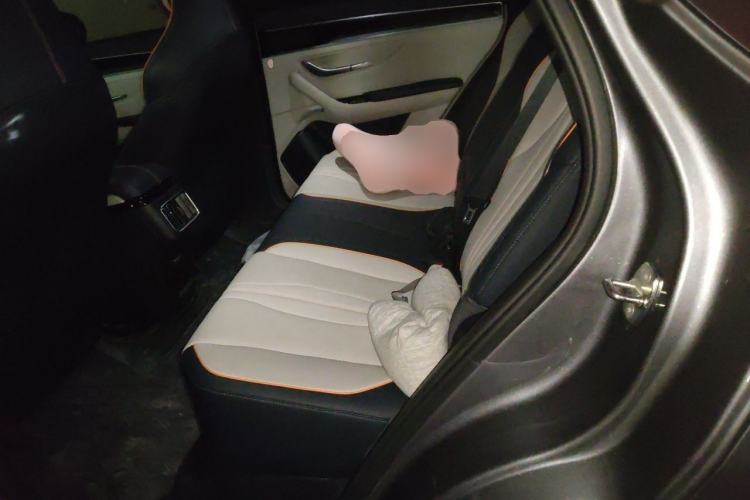 Used BYD Song PLUS New Energy 2021 DM-i 110KM Flagship PLUS Left Rear Seat