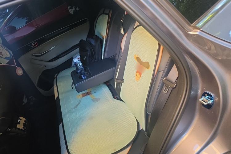 Used BYD Song PLUS New Energy 2021 EV Deluxe Model Left Rear Seat