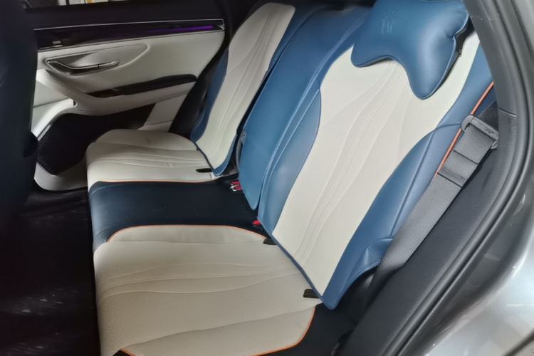Used BYD Song PLUS New Energy 2021 DM-i 110KM Flagship PLUS Left Rear Seat