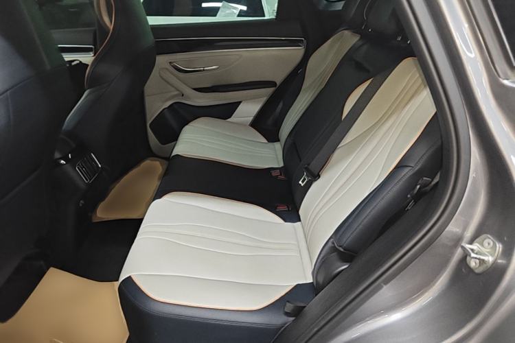 Used BYD Song PLUS New Energy 2021 EV Deluxe Model Left Rear Seat