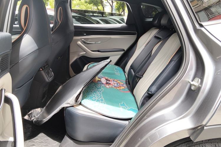 Used BYD Song PLUS New Energy 2021 DM-i 110KM Flagship PLUS Left Rear Seat