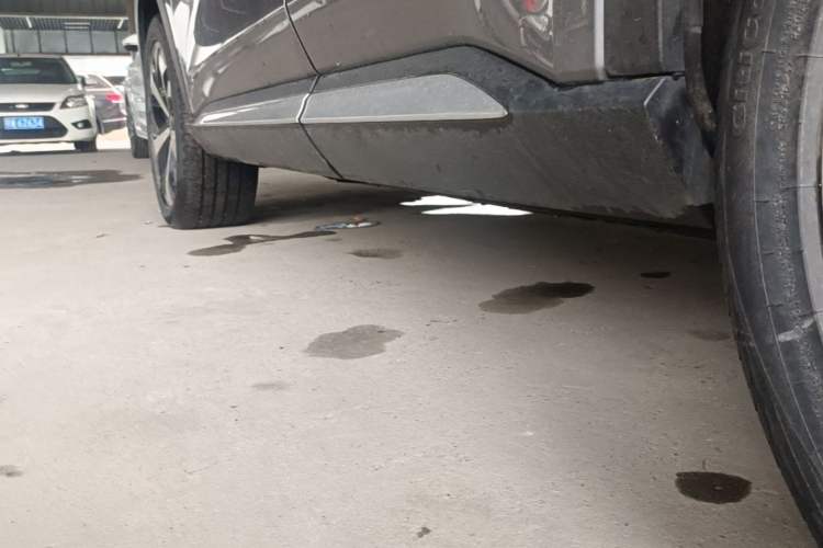 Used BYD Song PLUS New Energy 2021 EV Deluxe Model Left Side Sill
