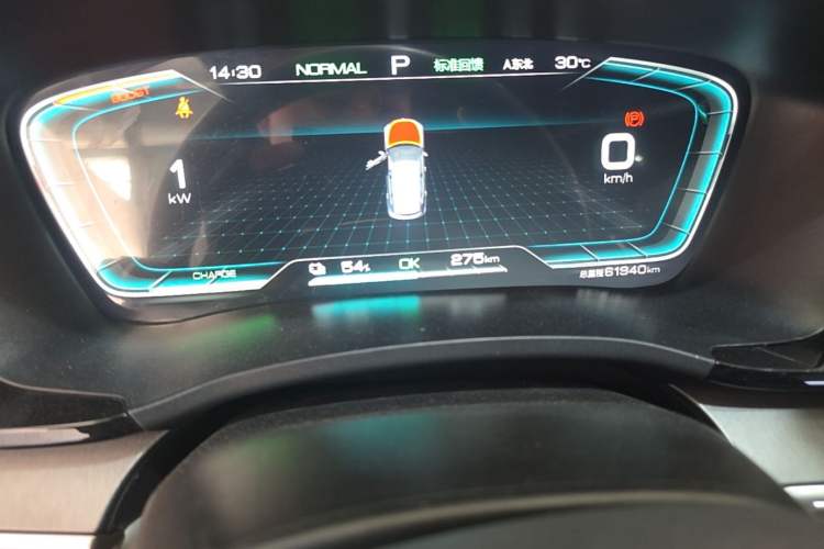 Used BYD Song PLUS New Energy 2021 EV Deluxe Model Odometer Close Up
