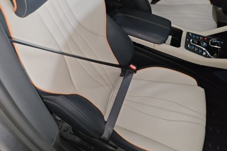 Used BYD Song PLUS New Energy 2021 EV Deluxe Model Right Front Seat