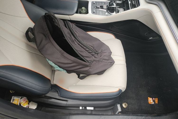 Used BYD Song PLUS New Energy 2021 DM-i 51KM Prestige Model Right Front Seat