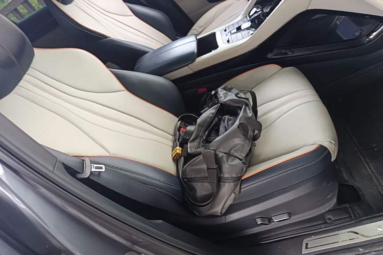 Used BYD Song PLUS New Energy 2021 EV Flagship Model Right Front Seat