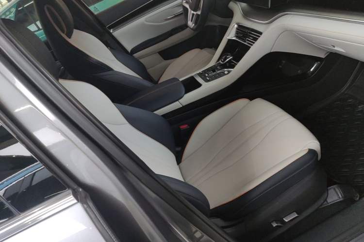 Used BYD Song PLUS New Energy 2021 EV Deluxe Model Right Front Seat