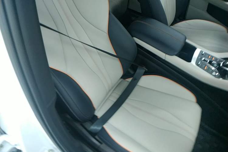Used BYD Song PLUS New Energy 2021 DM-i 51KM Prestige Model Right Front Seat