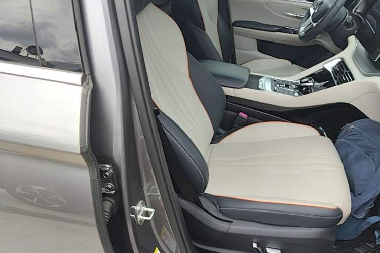 Used BYD Song PLUS New Energy 2021 EV Deluxe Model Right Front Seat
