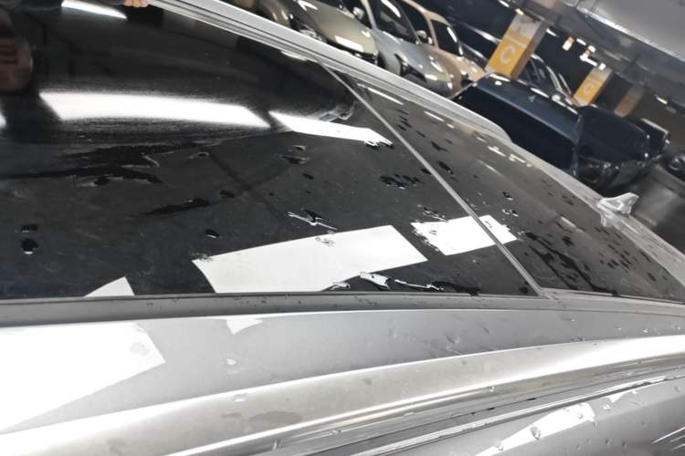 Used BYD Song PLUS New Energy 2021 EV Flagship Model Roof