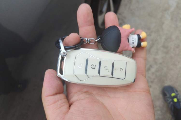 Used BYD Song PLUS New Energy 2021 DM-i 110KM Flagship PLUS Vehicle Key