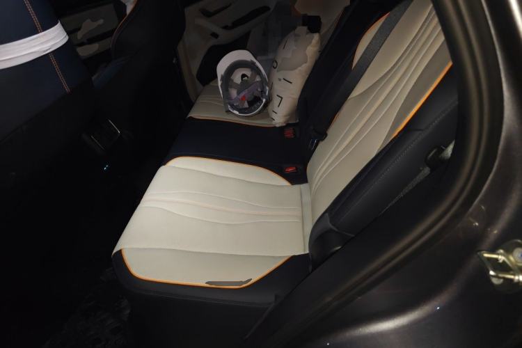 Used BYD Song PLUS New Energy 2021 DM-i 110KM Flagship PLUS Left Rear Seat