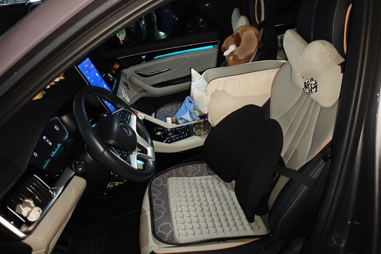 Used BYD Song PLUS New Energy 2021 EV Deluxe Model Left Front Seat