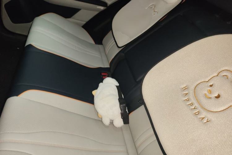 Used BYD Song PLUS New Energy 2021 DM-i 110KM Flagship PLUS Left Rear Seat
