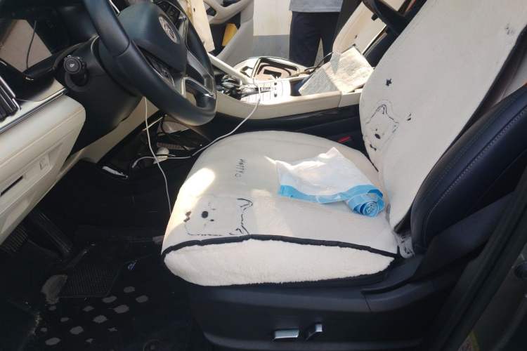 Used BYD Song PLUS New Energy 2021 DM-i 51KM Prestige Model Left Front Seat