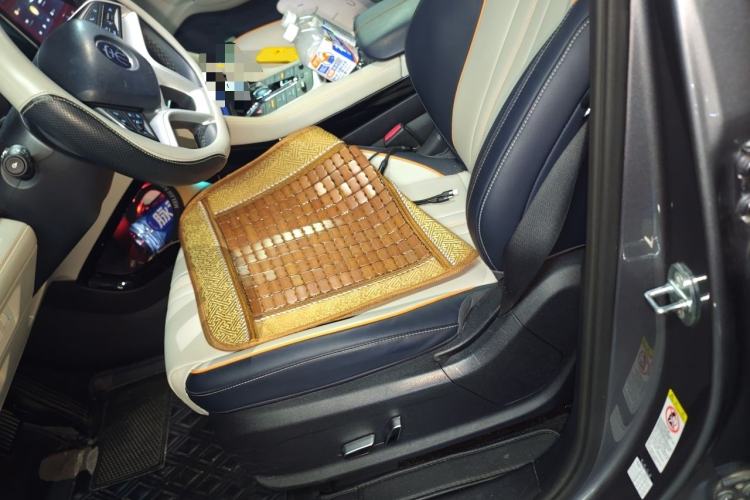 Used BYD Song PLUS New Energy 2021 EV Deluxe Model Left Front Seat