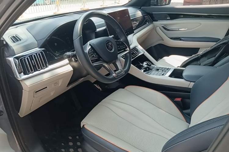 Used BYD Song PLUS New Energy 2021 DM-i 51KM Prestige Model Left Front Seat