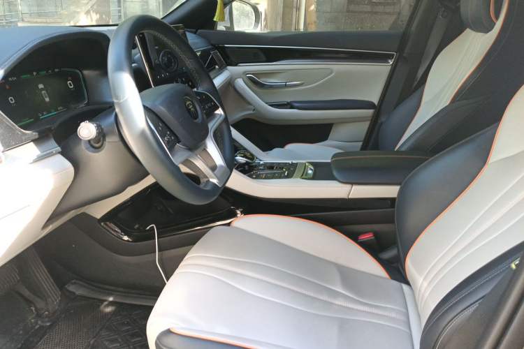Used BYD Song PLUS New Energy 2021 EV Deluxe Model Left Front Seat