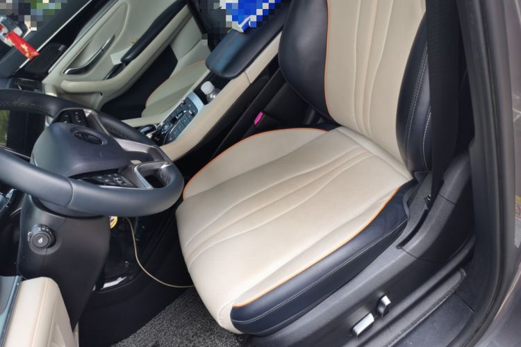 Used BYD Song PLUS New Energy 2021 DM-i 51KM Prestige Model Left Front Seat