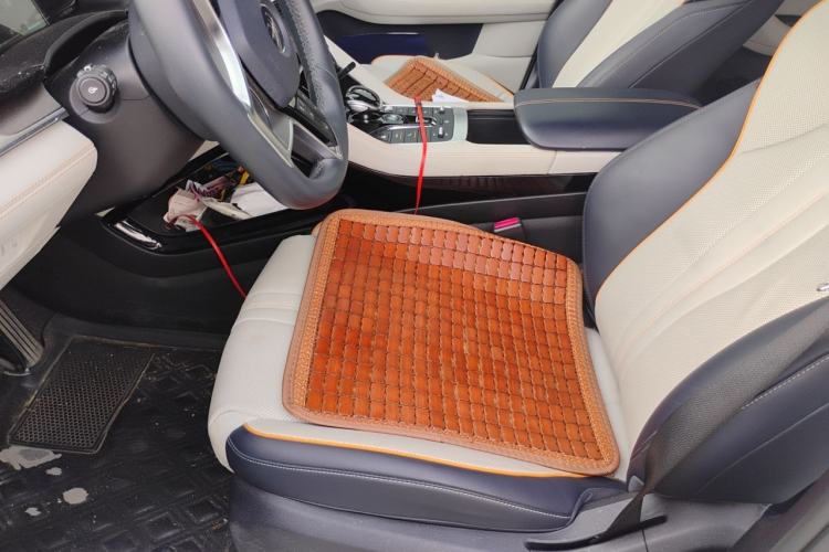 Used BYD Song PLUS New Energy 2021 DM-i 110KM Flagship PLUS Left Front Seat