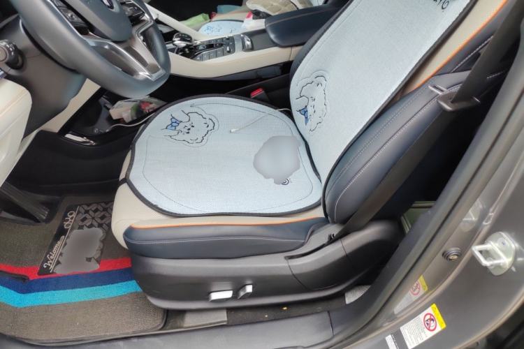 Used BYD Song PLUS New Energy 2021 DM-i 51KM Prestige Model Left Front Seat