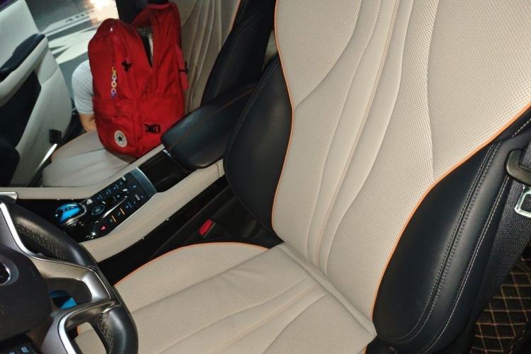 Used BYD Song PLUS New Energy 2021 DM-i 51KM Prestige Model Left Front Seat