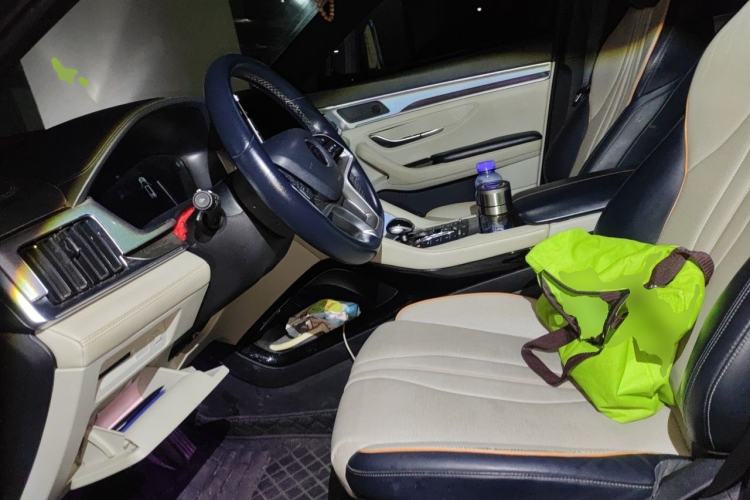 Used BYD Song PLUS New Energy 2021 DM-i 51KM Prestige Model Left Front Seat