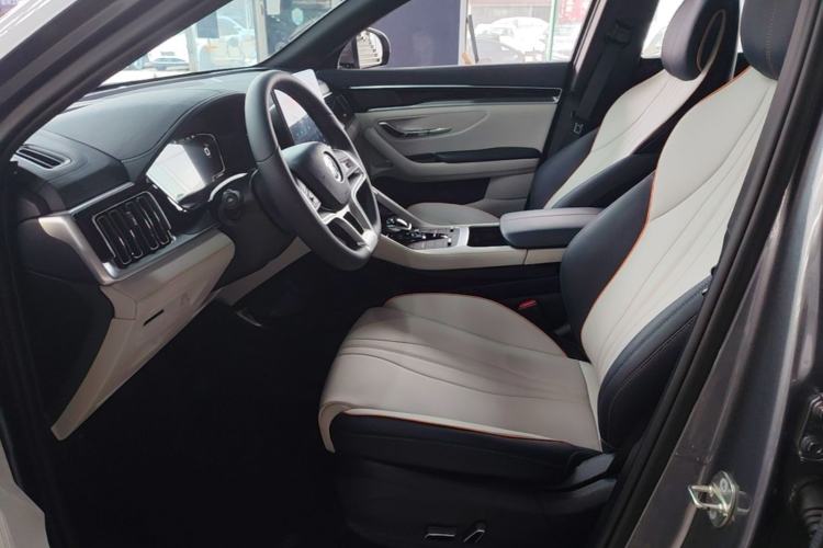 Used BYD Song PLUS New Energy 2021 EV Deluxe Model Left Front Seat