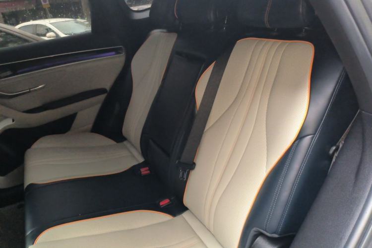 Used BYD Song PLUS New Energy 2021 DM-i 110KM Flagship PLUS Left Rear Seat