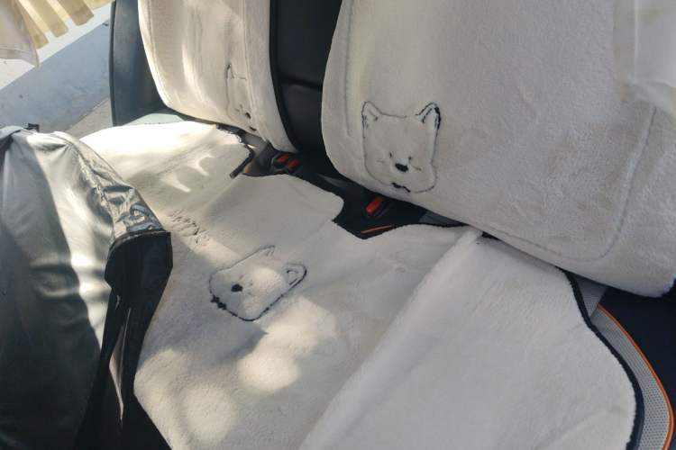 Used BYD Song PLUS New Energy 2021 DM-i 51KM Prestige Model Left Rear Seat
