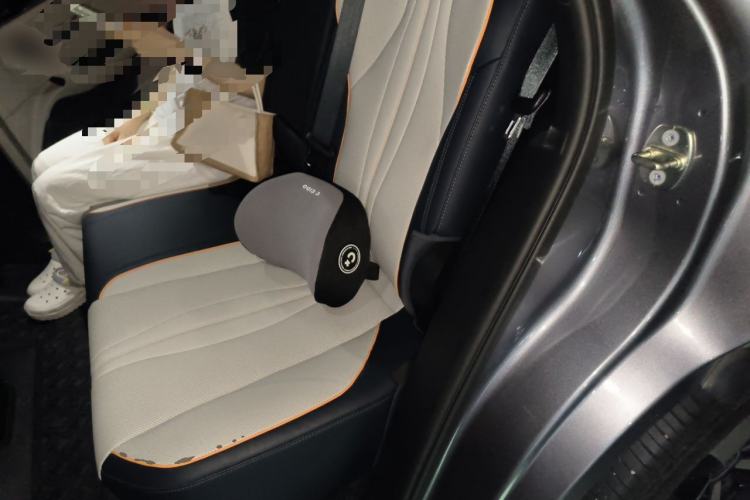 Used BYD Song PLUS New Energy 2021 DM-i 110KM Flagship PLUS Left Rear Seat