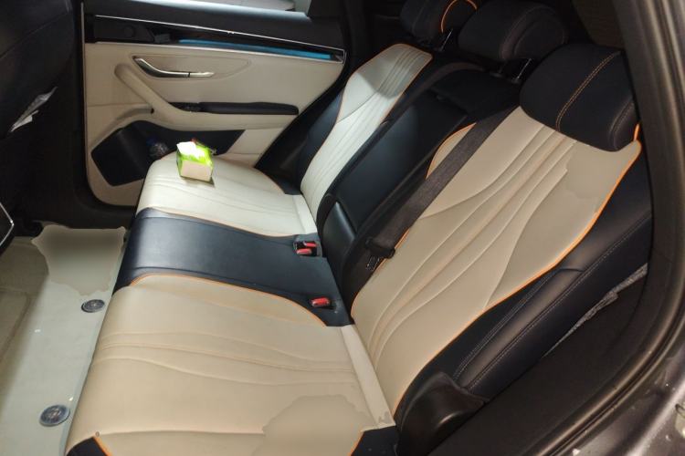 Used BYD Song PLUS New Energy 2021 EV Deluxe Model Left Rear Seat