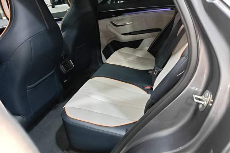 Used BYD Song PLUS New Energy 2021 DM-i 110KM Flagship PLUS Left Rear Seat