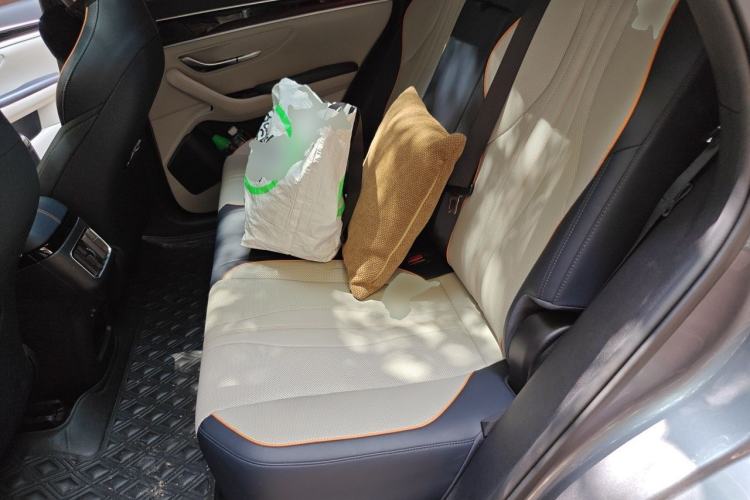 Used BYD Song PLUS New Energy 2021 DM-i 51KM Prestige Model Left Rear Seat