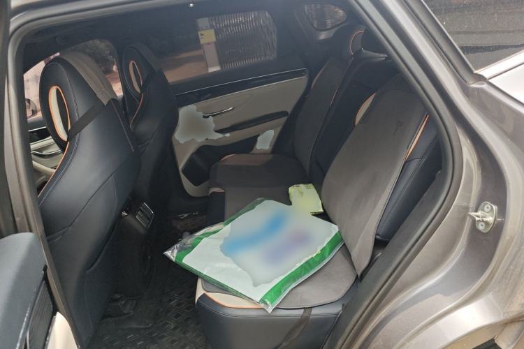 Used BYD Song PLUS New Energy 2021 DM-i 110KM Flagship PLUS Left Rear Seat
