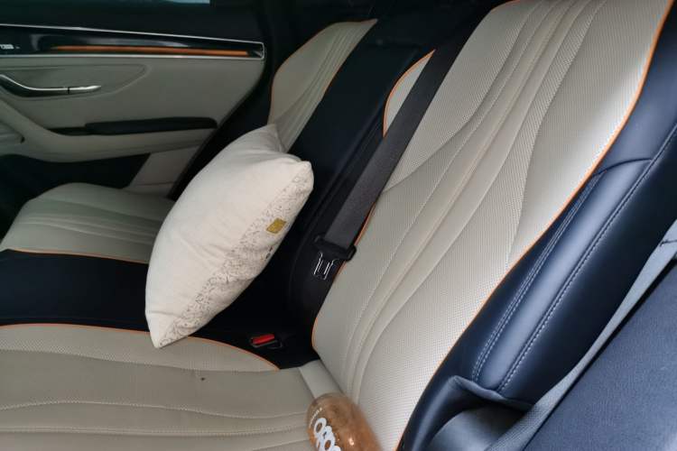 Used BYD Song PLUS New Energy 2021 DM-i 110KM Flagship PLUS Left Rear Seat