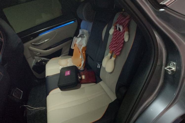 Used BYD Song PLUS New Energy 2021 EV Flagship Model Left Rear Seat