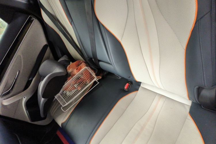 Used BYD Song PLUS New Energy 2021 DM-i 51KM Prestige Model Left Rear Seat