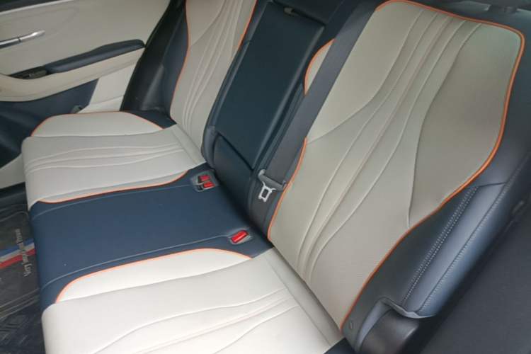 Used BYD Song PLUS New Energy 2021 DM-i 51KM Prestige Model Left Rear Seat
