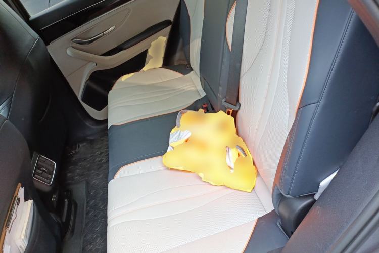 Used BYD Song PLUS New Energy 2021 DM-i 110KM Flagship PLUS Left Rear Seat