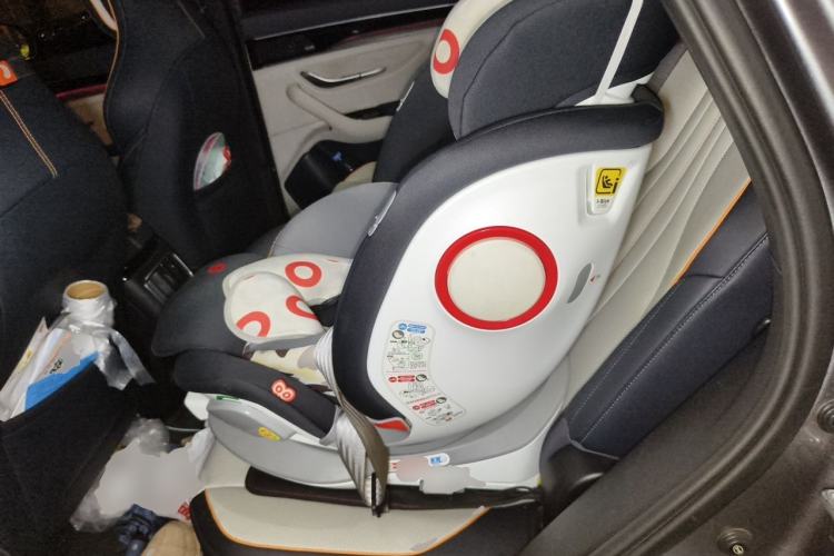 Used BYD Song PLUS New Energy 2021 DM-i 110KM Flagship PLUS Left Rear Seat